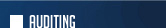 Auditing